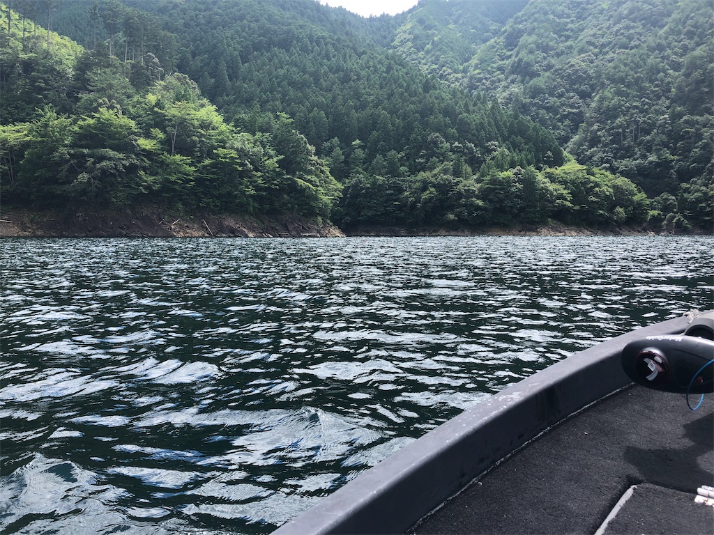 f:id:konokuro:20190809220848j:image f:id:konokuro:20190809220848j:image