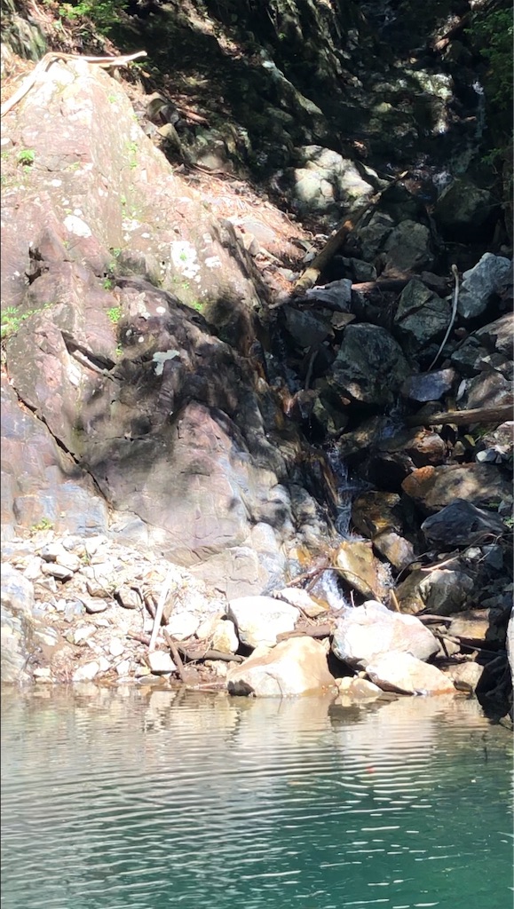 f:id:konokuro:20190809230227j:image f:id:konokuro:20190809230227j:image
