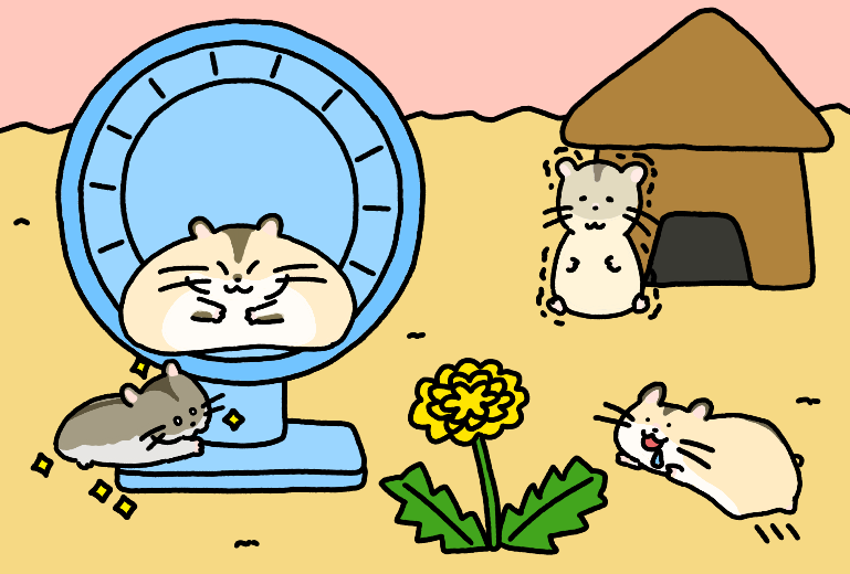f:id:konomiracle:20210904191234p:plain