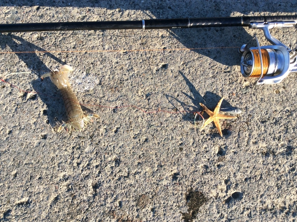 f:id:konosirus:20180918211817j:plain