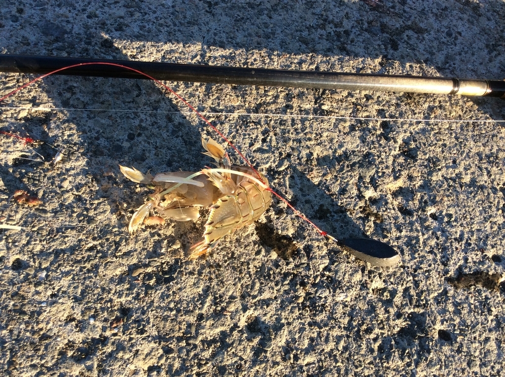 f:id:konosirus:20180918211828j:plain