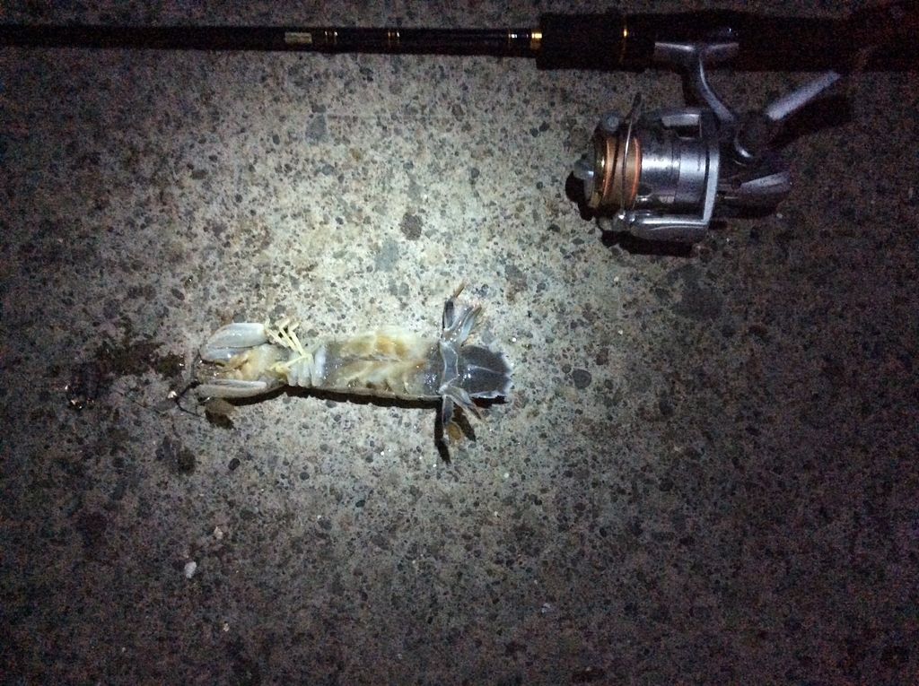 f:id:konosirus:20180918212835j:plain