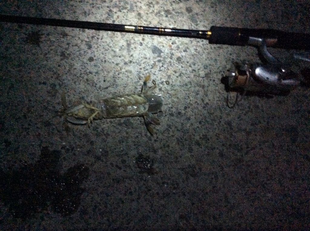 f:id:konosirus:20180918213902j:plain