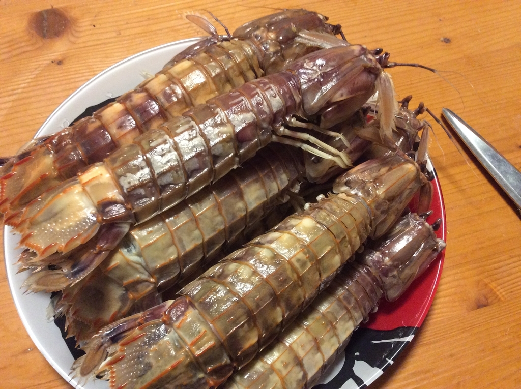 f:id:konosirus:20180918214014j:plain