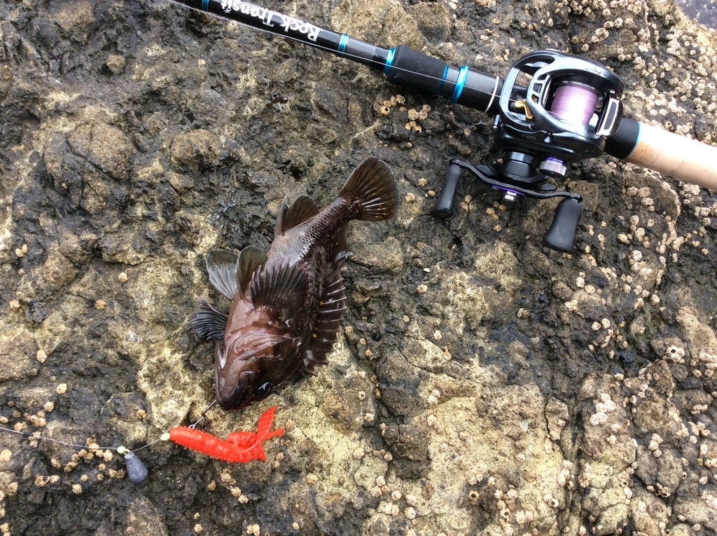 f:id:konosirus:20180928214357j:plain