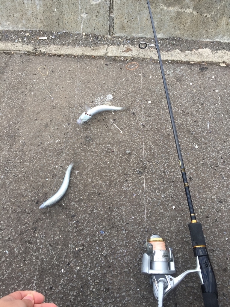 f:id:konosirus:20181118203244j:plain