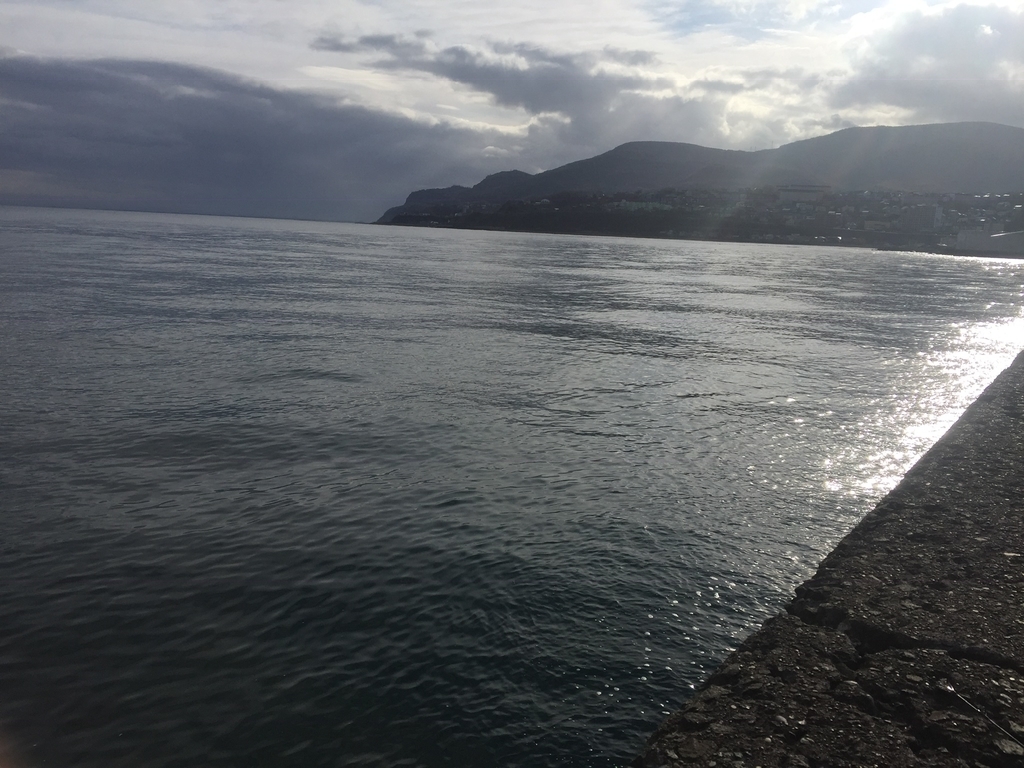 f:id:konosirus:20181118204643j:plain