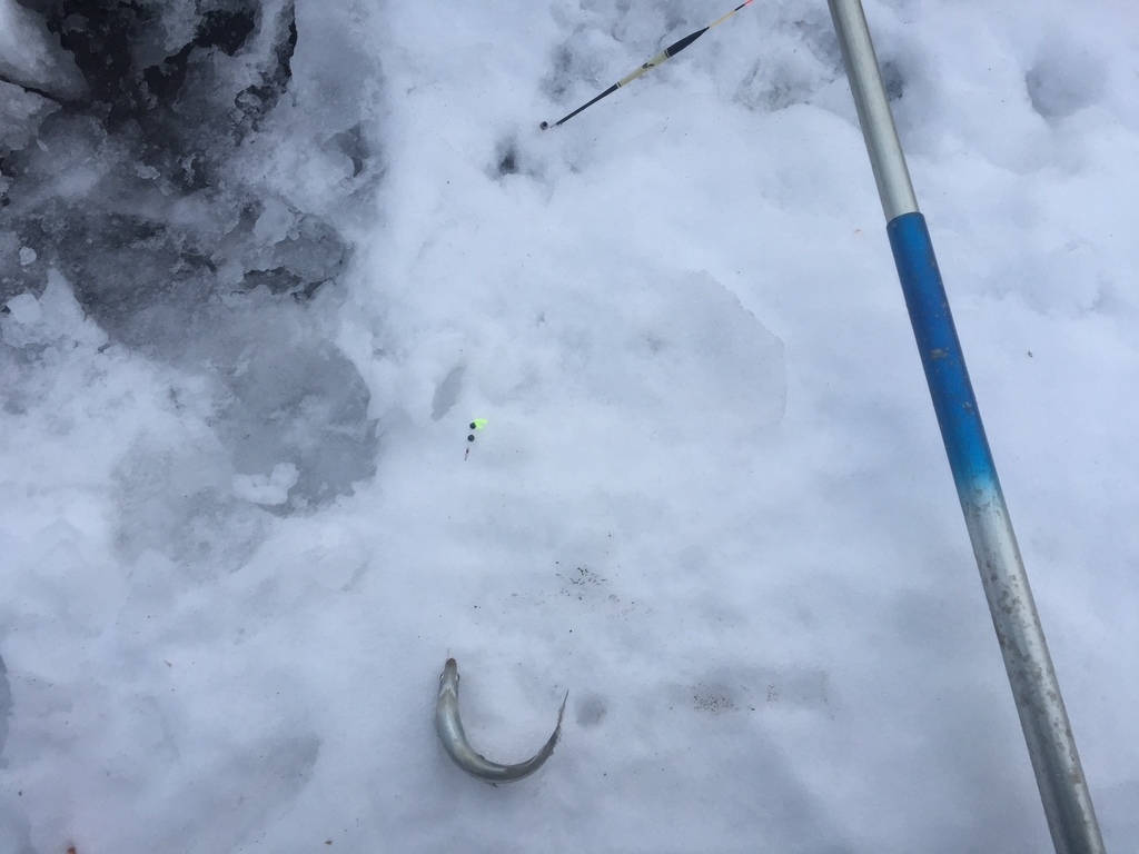 f:id:konosirus:20181217212007j:plain