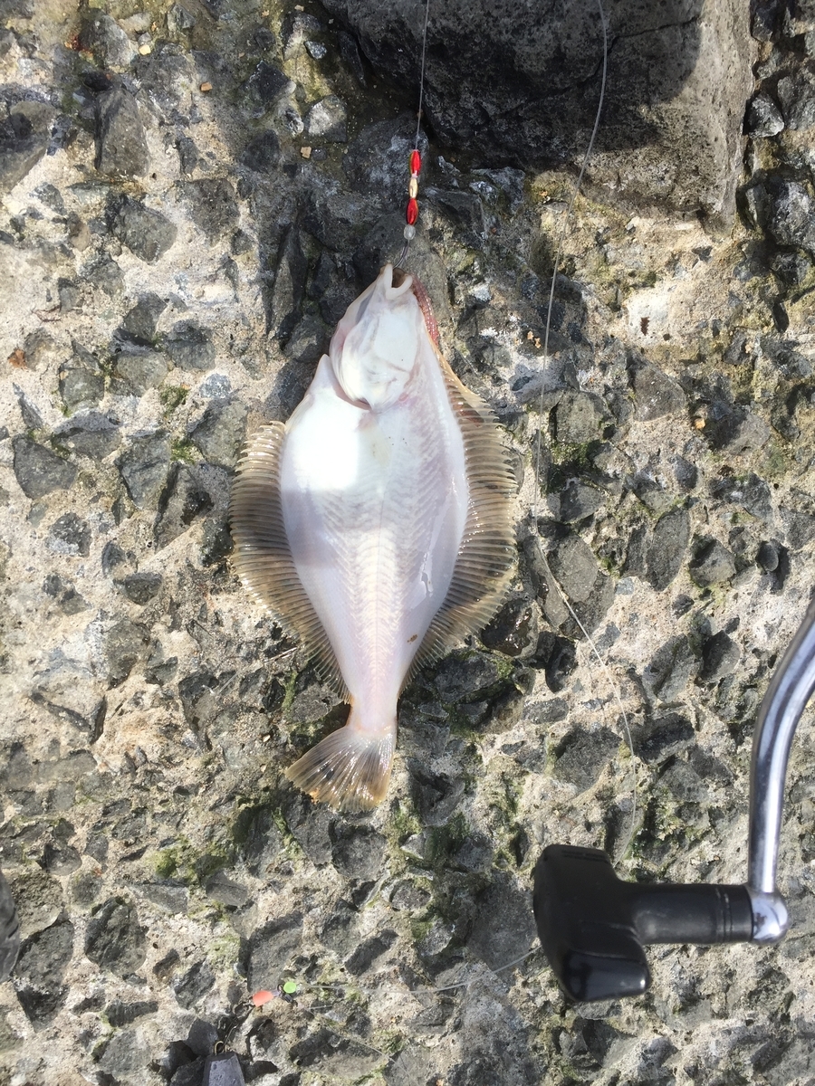 f:id:konosirus:20190401083248j:plain