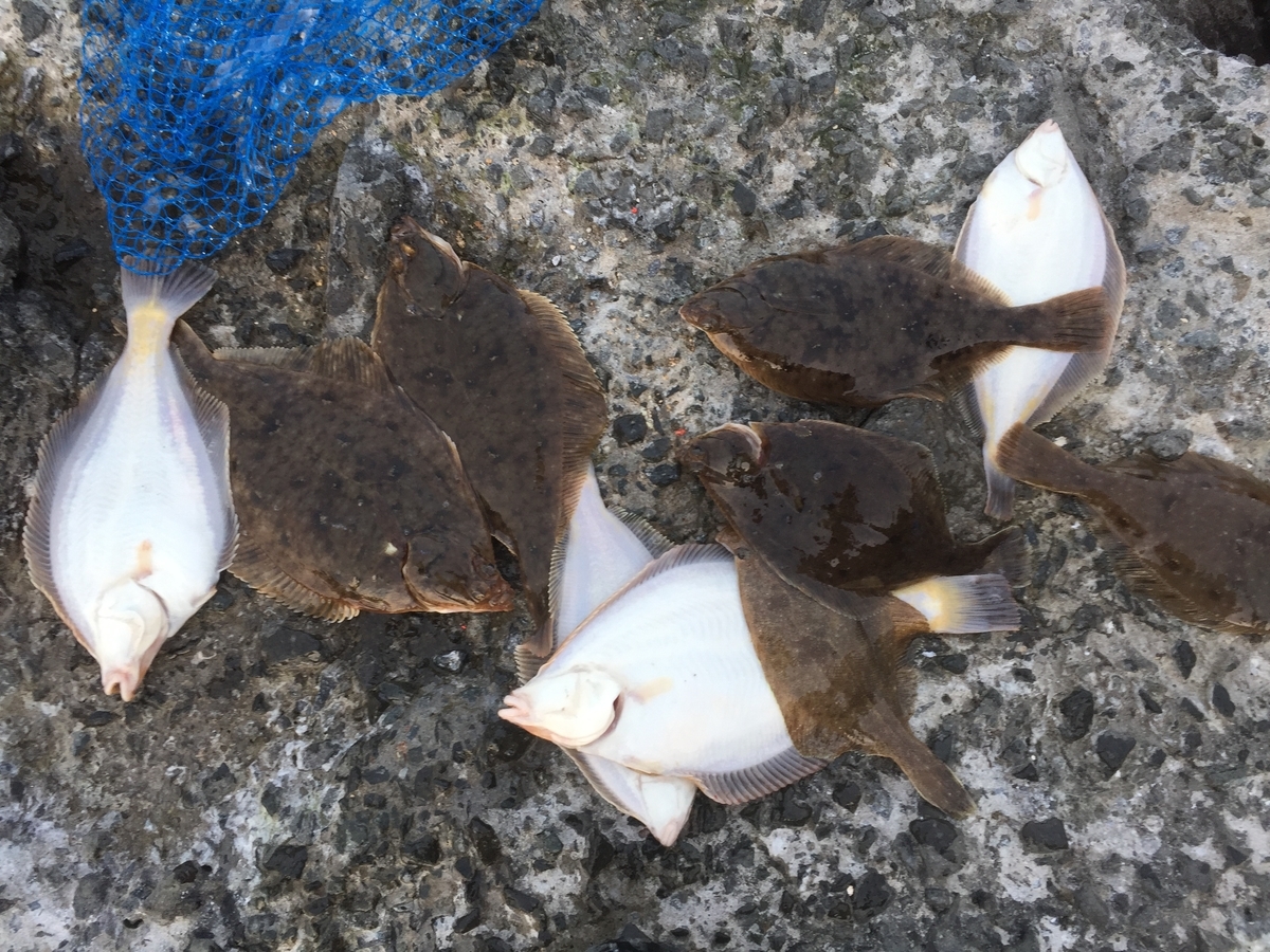 f:id:konosirus:20190401084032j:plain