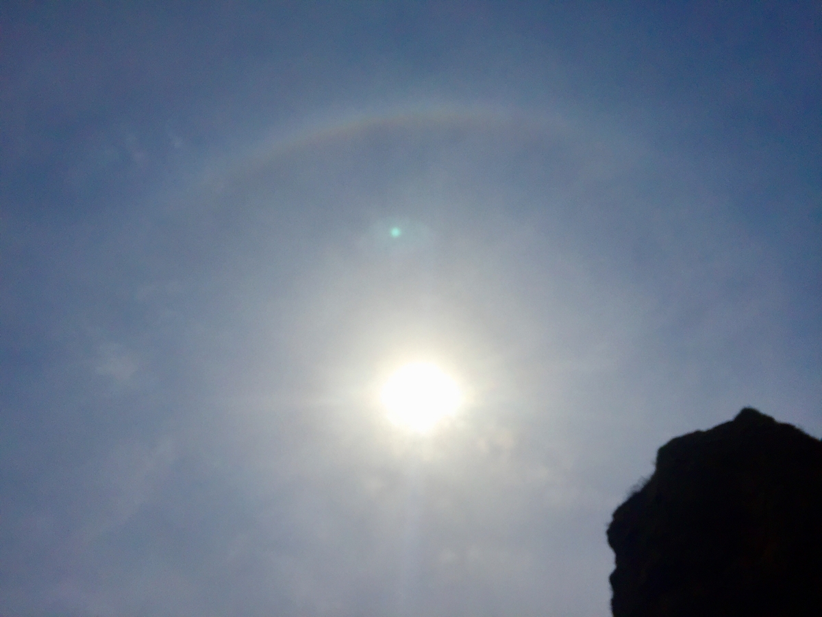 f:id:konosirus:20190401090842j:plain