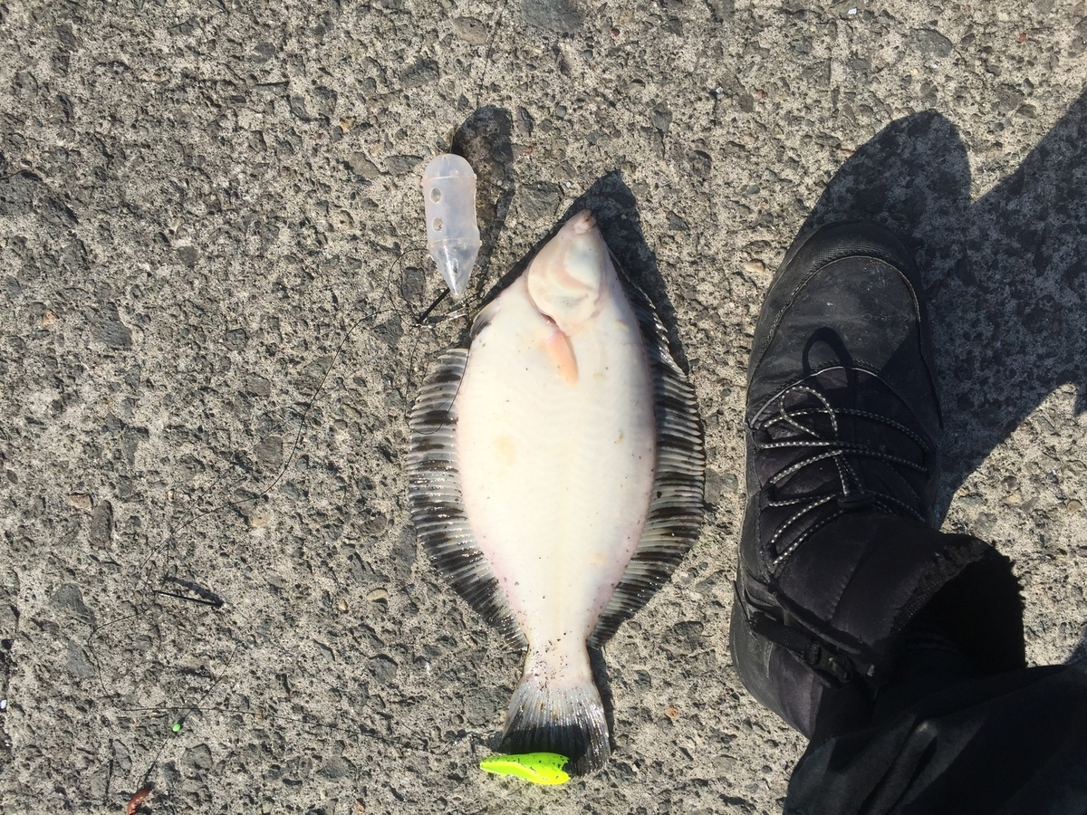 f:id:konosirus:20190407224312j:plain