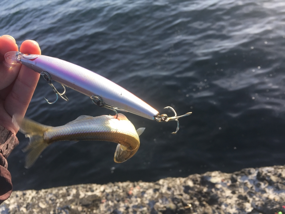 f:id:konosirus:20190421213351j:plain