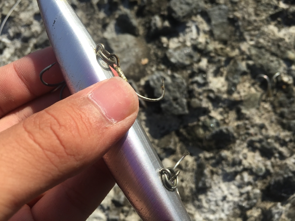 f:id:konosirus:20190421215355j:plain