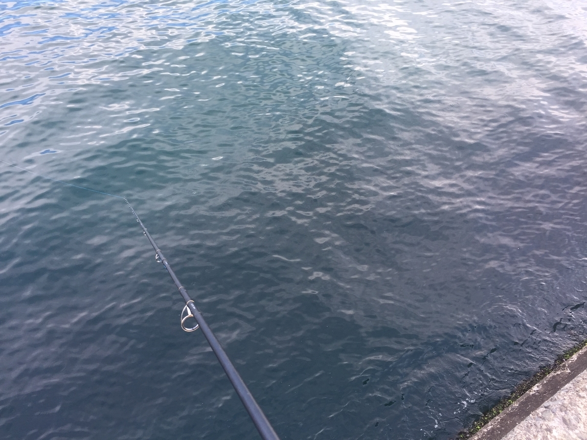 f:id:konosirus:20190625210402j:plain