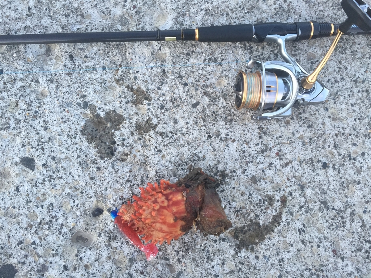 f:id:konosirus:20190625213516j:plain