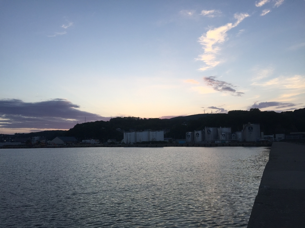 f:id:konosirus:20190625213524j:plain