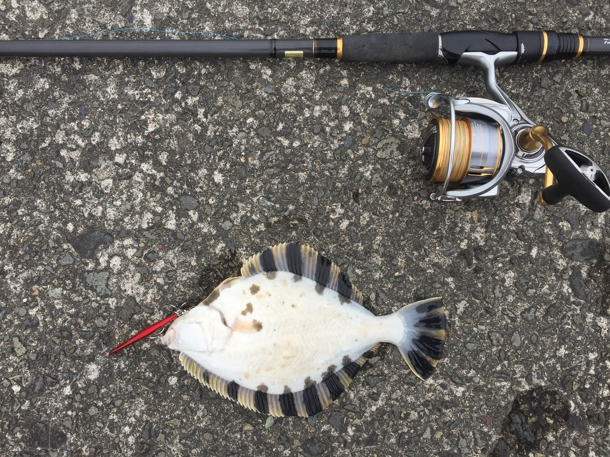 f:id:konosirus:20190630194147j:plain