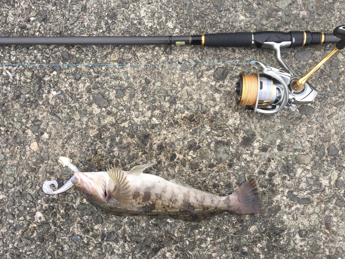 f:id:konosirus:20190630195647j:plain