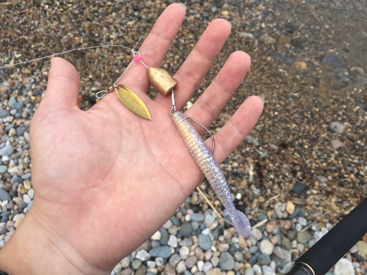 f:id:konosirus:20190715074521j:plain