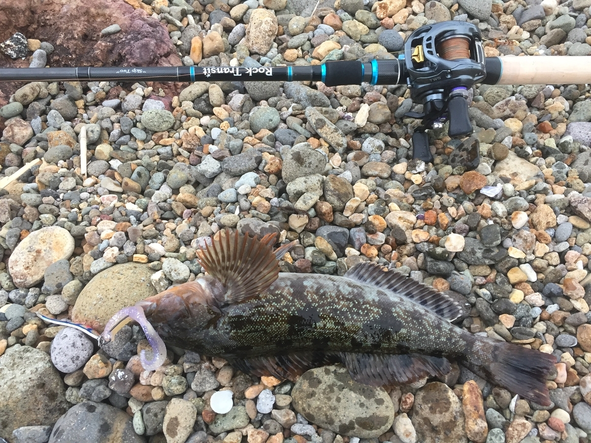 f:id:konosirus:20190715090527j:plain