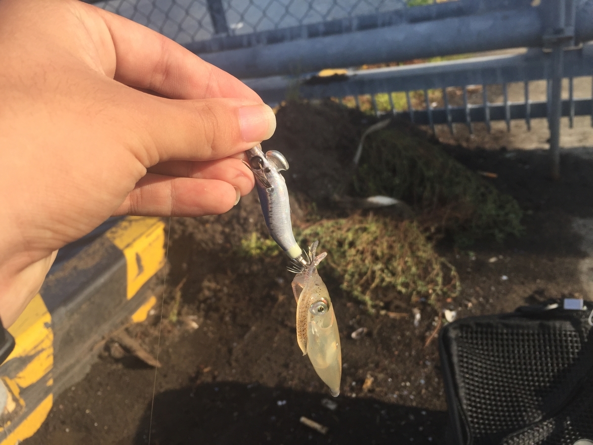 f:id:konosirus:20190930092511j:plain