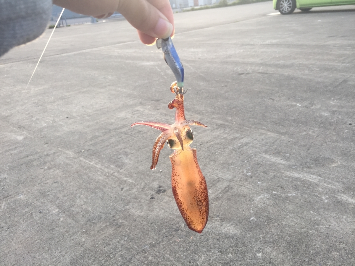 f:id:konosirus:20190930094118j:plain