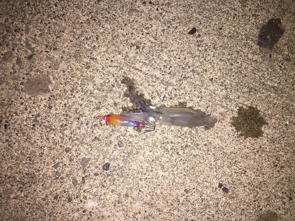 f:id:konosirus:20190930100218j:plain