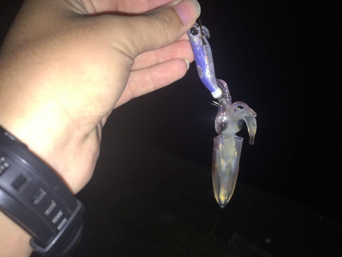 f:id:konosirus:20190930101013j:plain