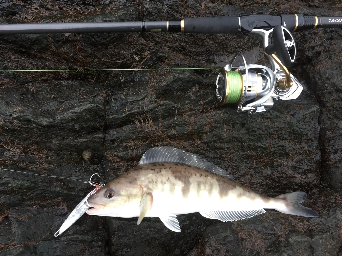 f:id:konosirus:20200308065826j:plain