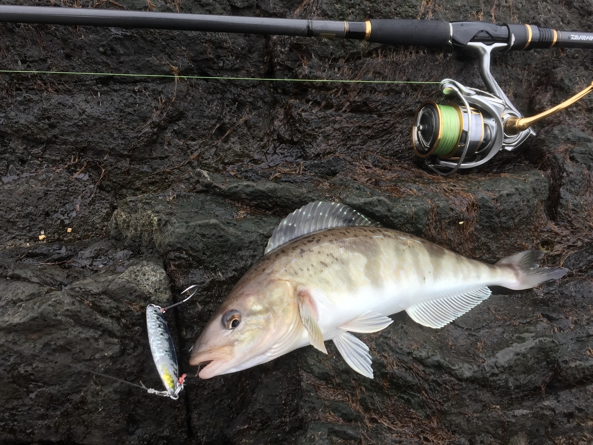 f:id:konosirus:20200308074248j:plain