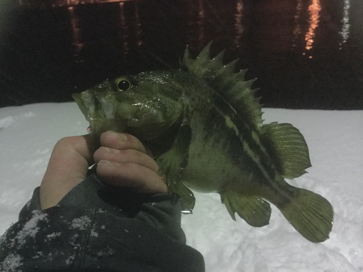 f:id:konosirus:20200319105612j:plain