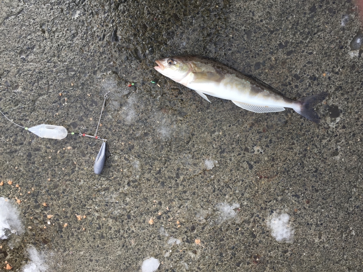 f:id:konosirus:20200319122624j:plain