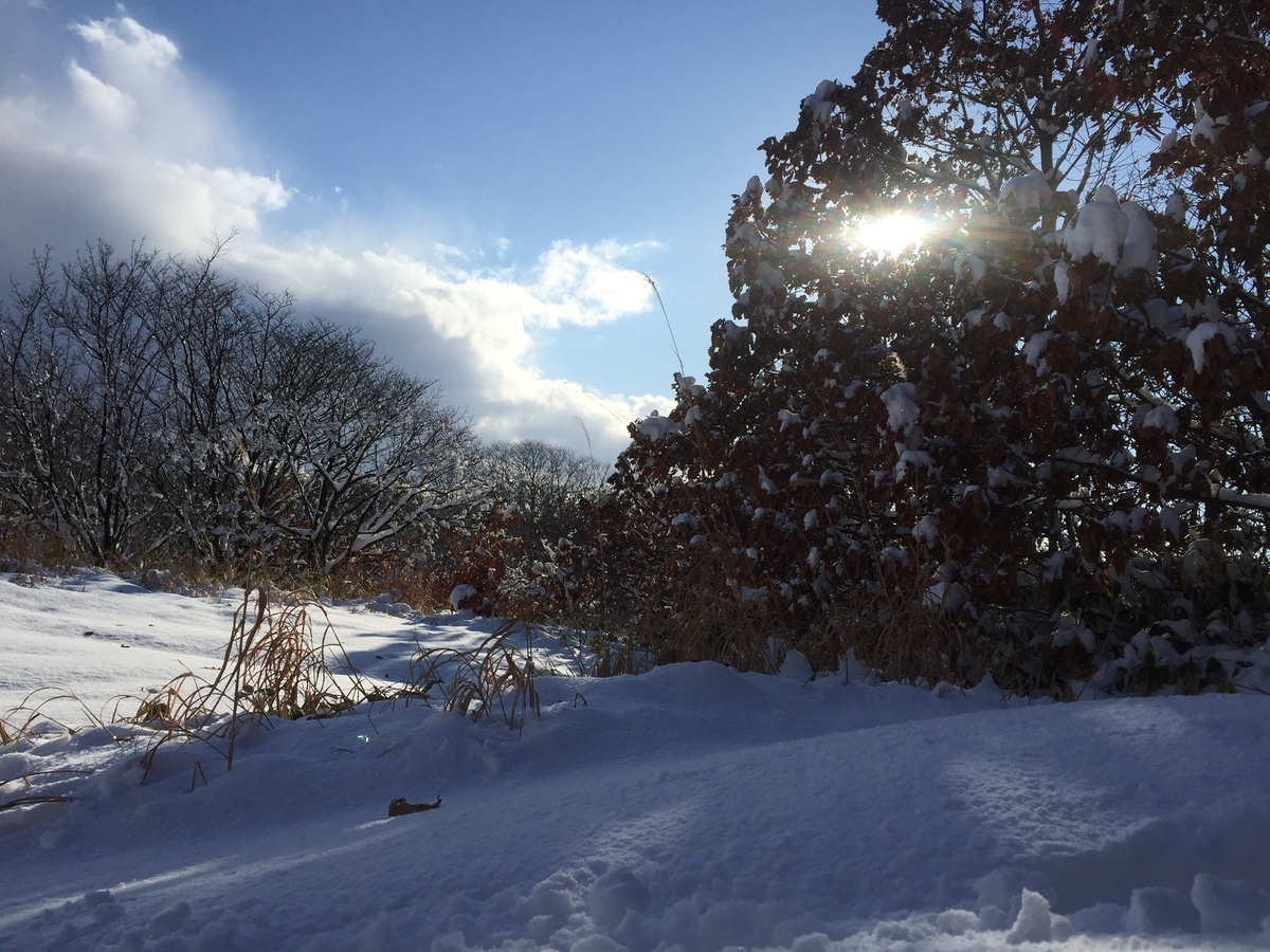 f:id:konosirus:20200319130933j:plain