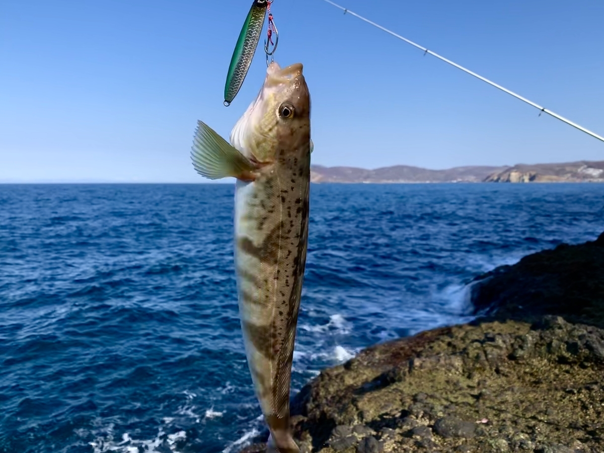 f:id:konosirus:20200327113400j:plain