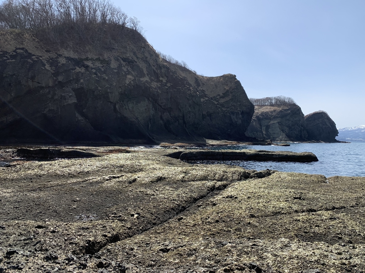 f:id:konosirus:20200402090542j:plain