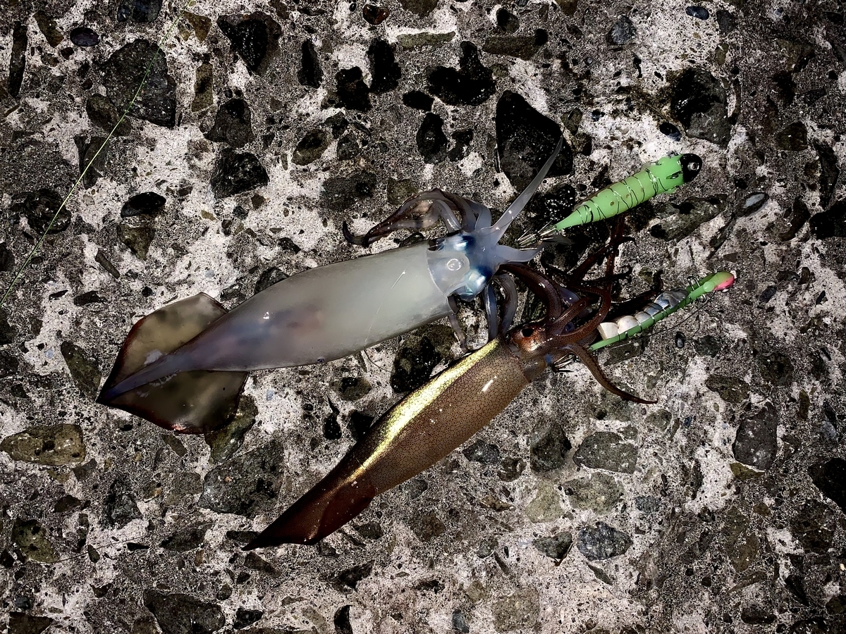 f:id:konosirus:20200812204750j:plain