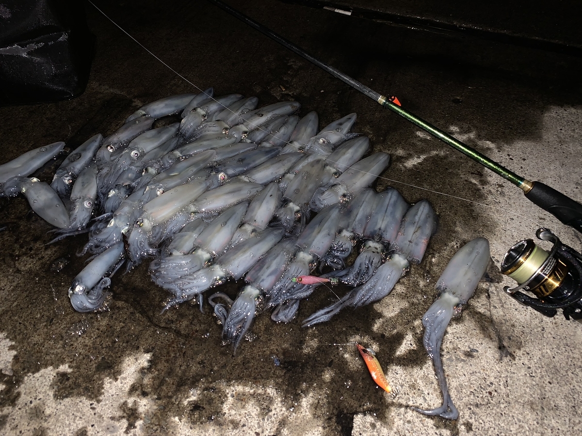 f:id:konosirus:20201122123306j:plain