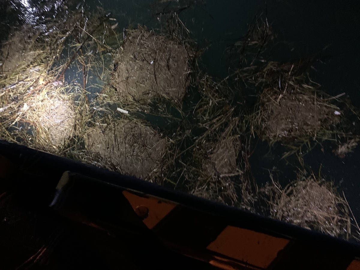 f:id:konosirus:20201122130225j:plain