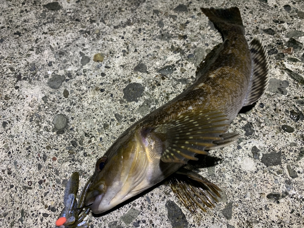 f:id:konosirus:20210329185112j:plain