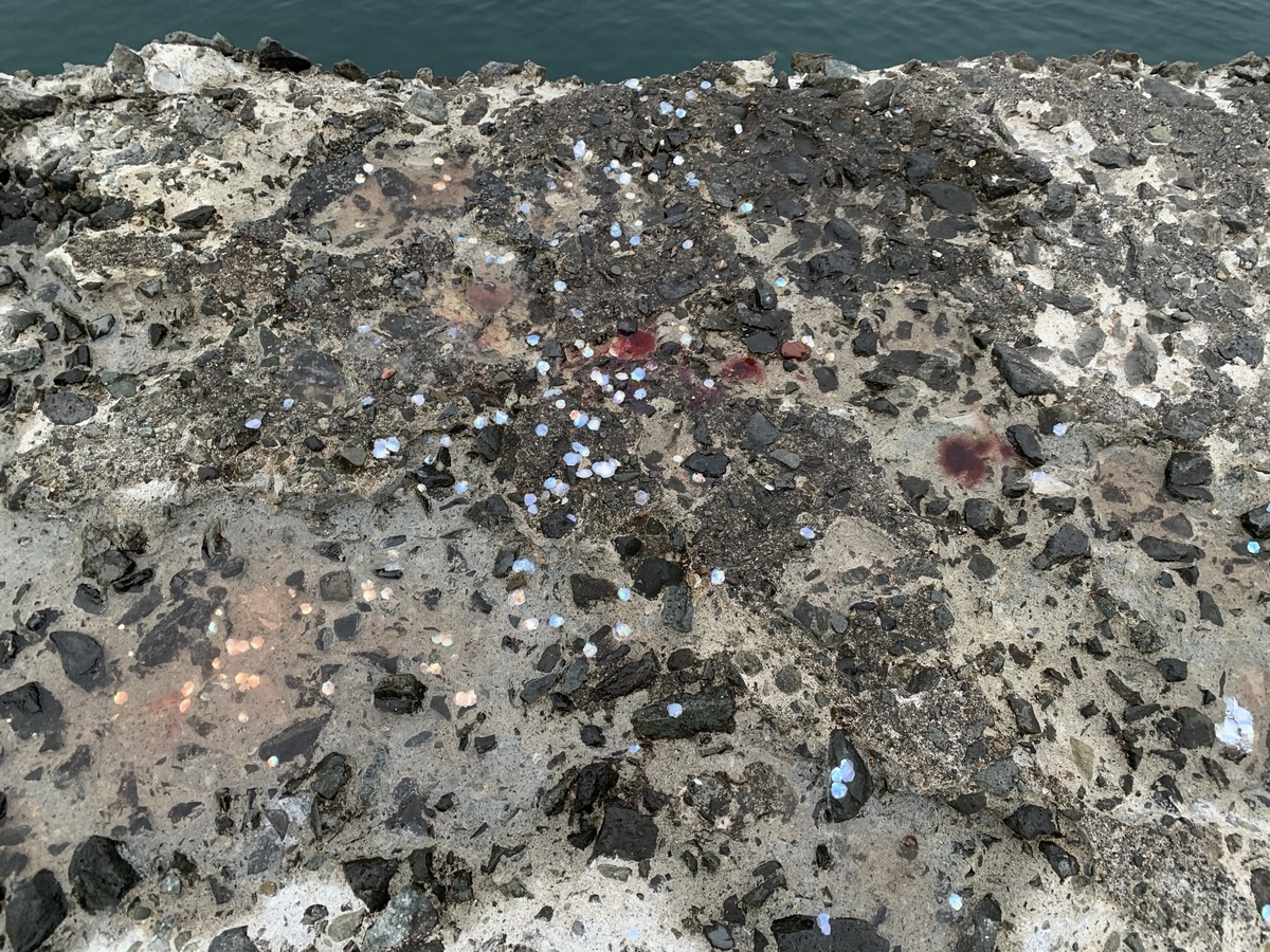 f:id:konosirus:20210329185645j:plain