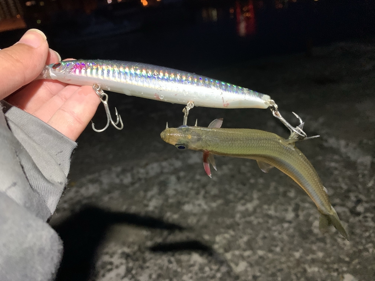 f:id:konosirus:20210408173116j:plain