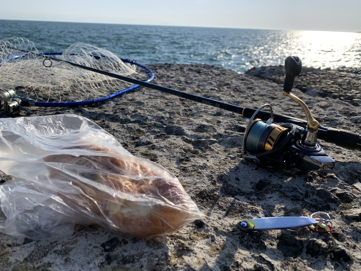 f:id:konosirus:20210411184746j:plain