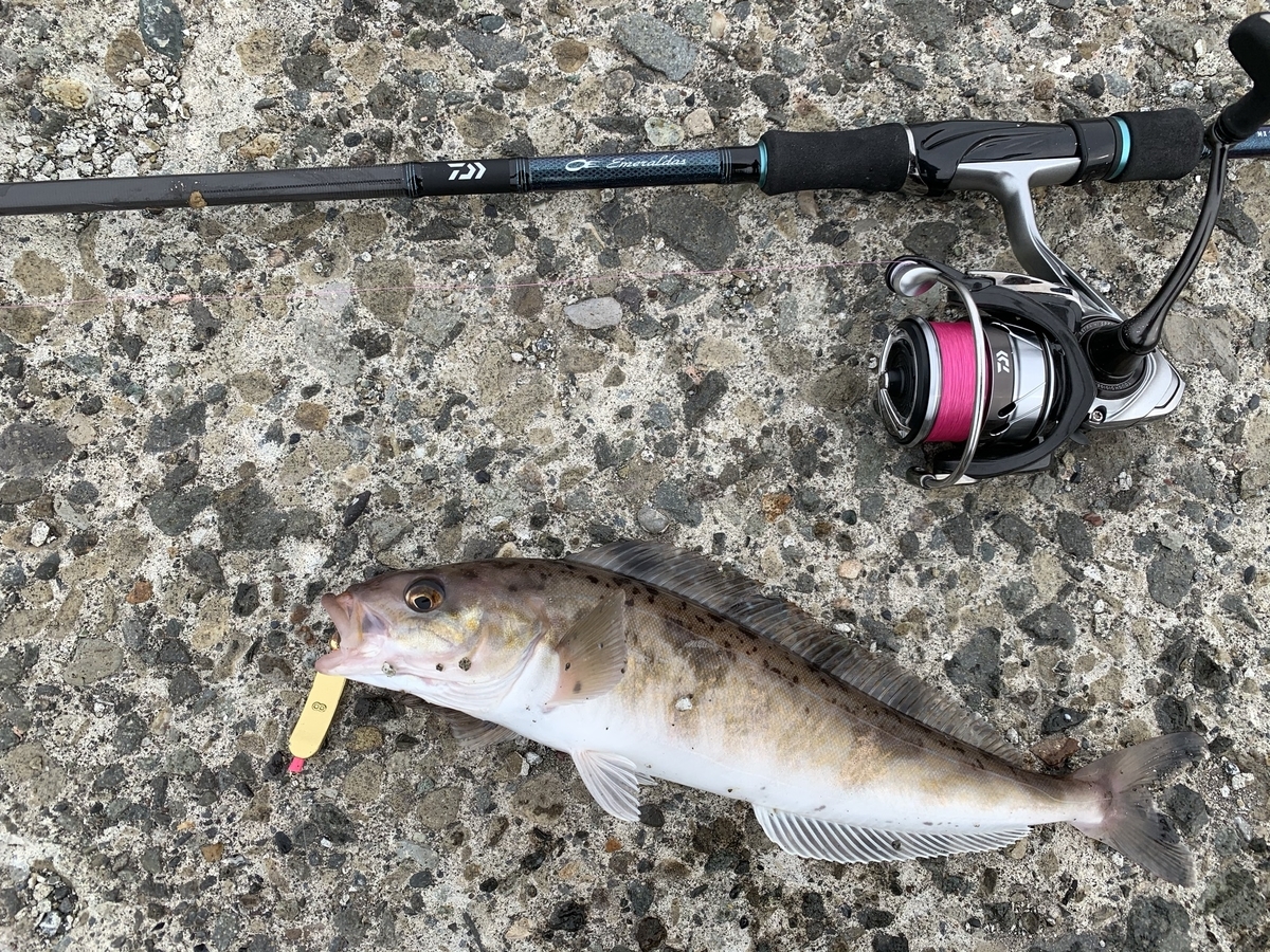 f:id:konosirus:20210430224844j:plain