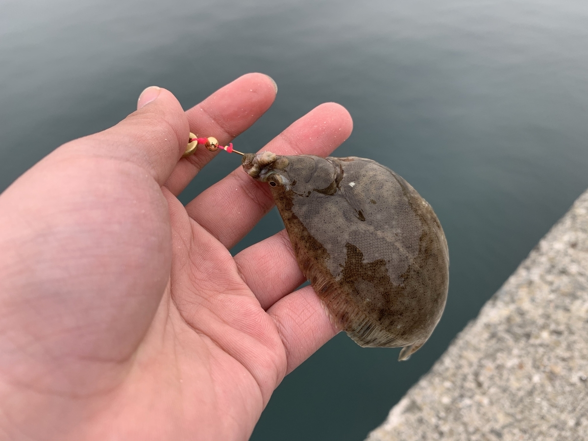 f:id:konosirus:20210430225037j:plain