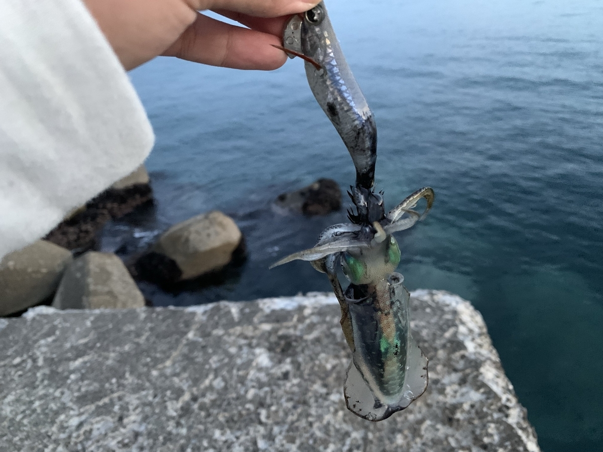 f:id:konosirus:20210926113517j:plain