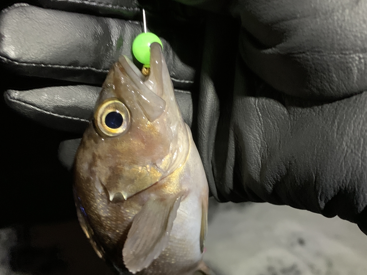 f:id:konosirus:20211230110230j:plain