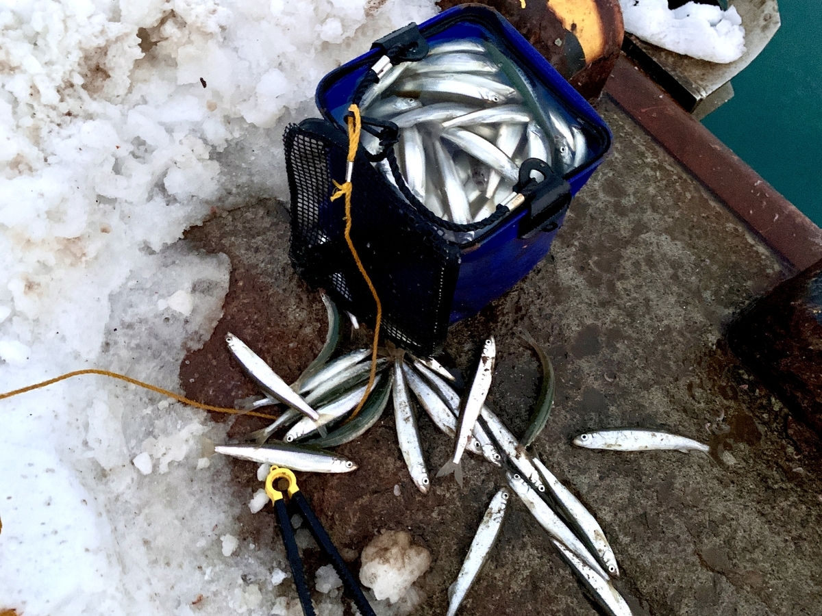 f:id:konosirus:20220125181615j:plain