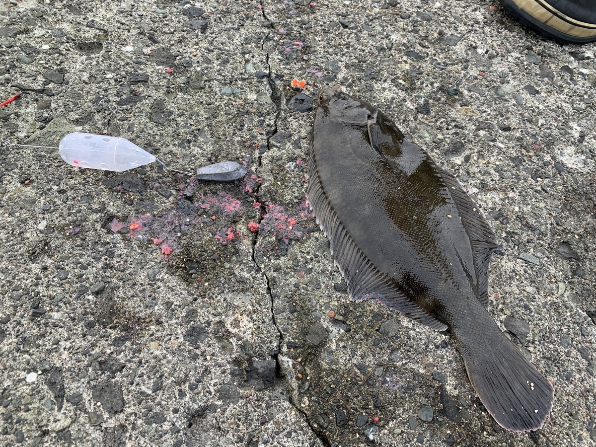 f:id:konosirus:20220314072944j:plain