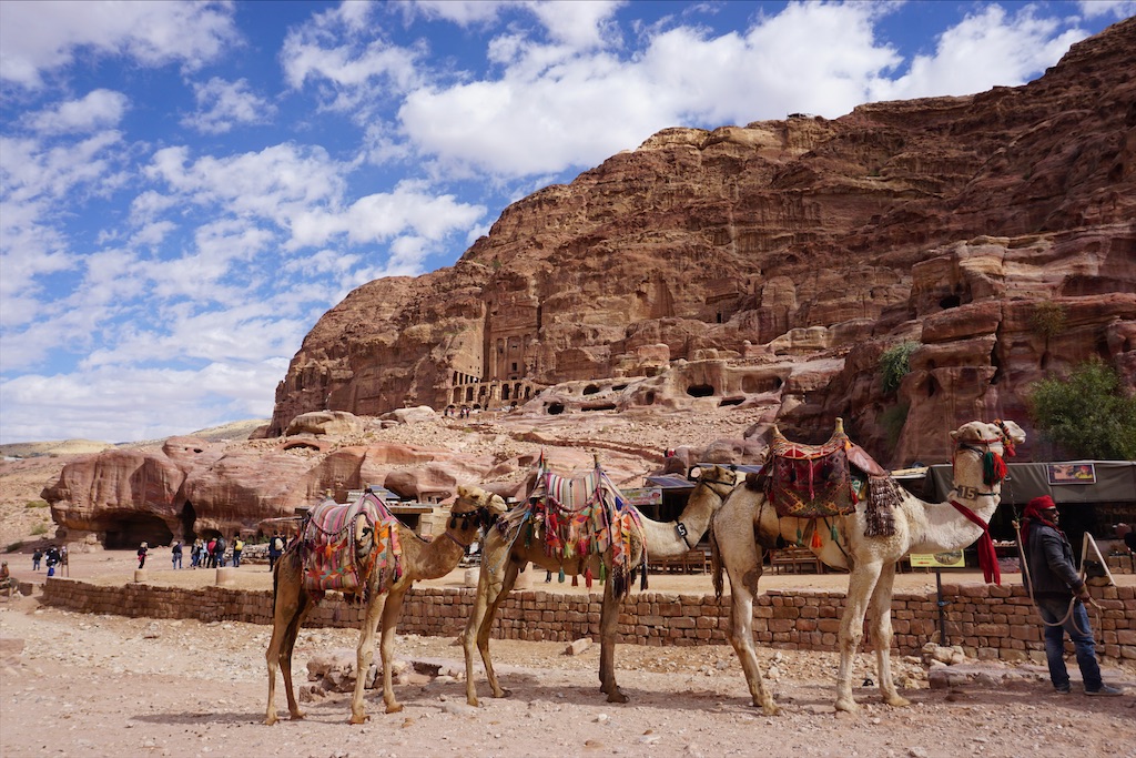 f:id:konparou:20200719205409j:image f:id:konparou:20200719205409j:image